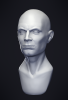 Fine details and surface texture Sculpt!