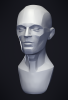 Coarse details and anatomy Create!